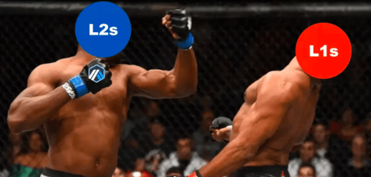 L1s vs L2s：在数据对比中观察谁是赢家？