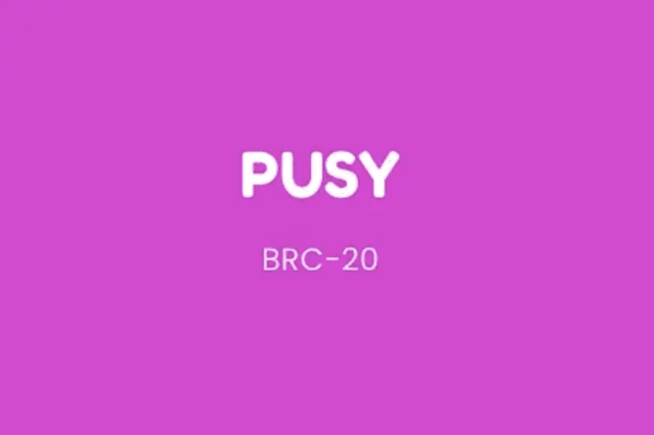 Meme 季来袭，简析 XEN 创始人推出的 BRC20 代币 PUSY