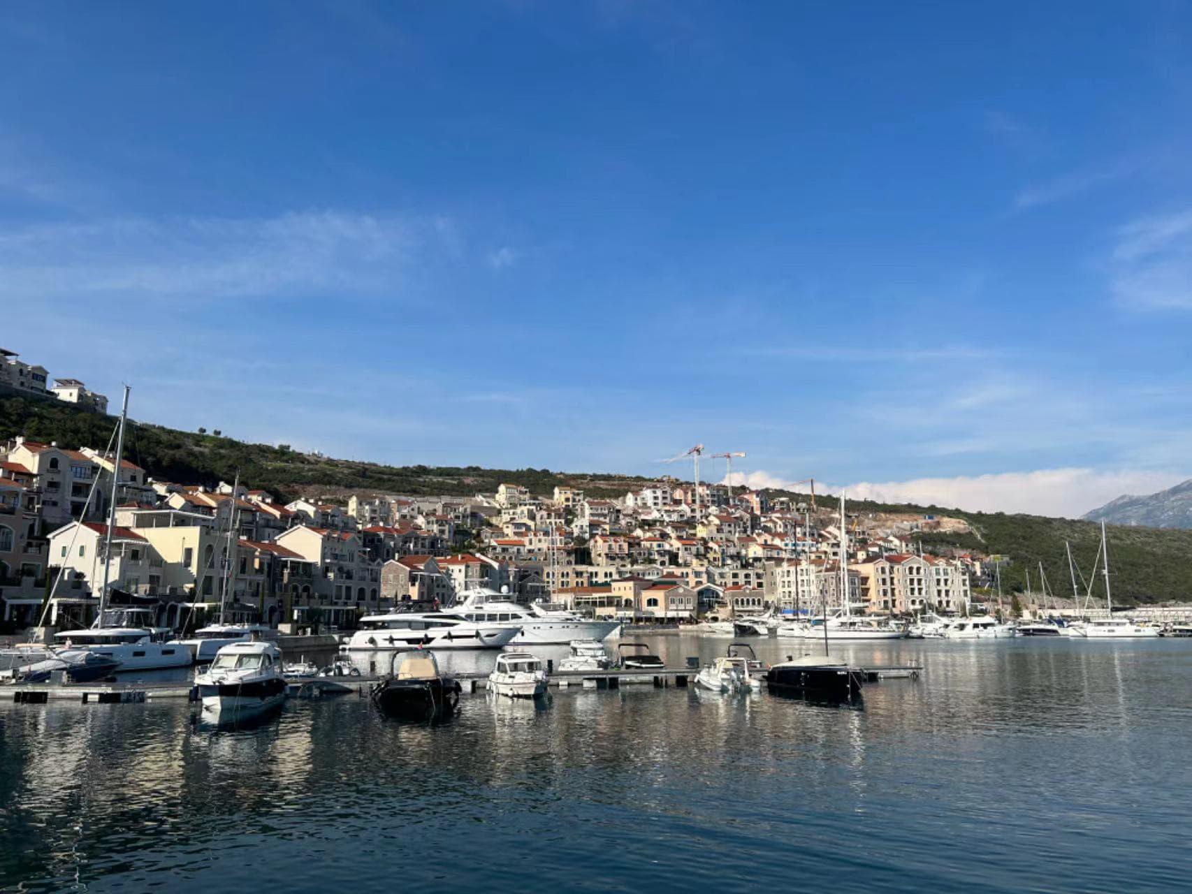 Zuzalu 游记:一个关于数字国家的梦想