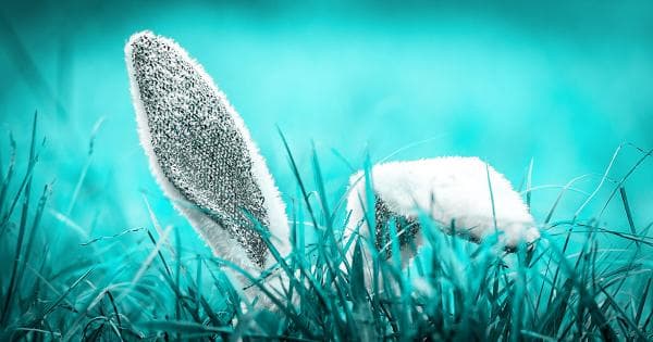 Friend.Tech 博弈论 —— WAGMI 还是庞氏骗局？