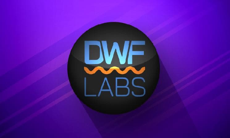 浅析 DWF 的业务逻辑,如何利用相关信息指导二级交易?