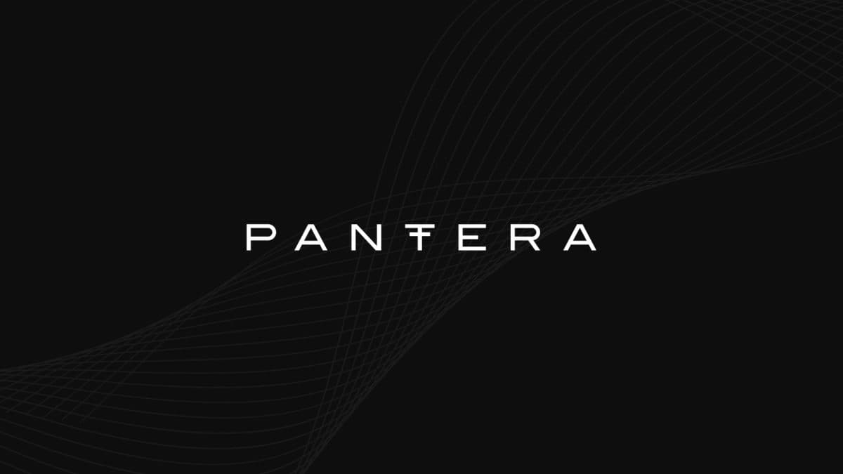 Pantera 正在关注的三大领域：社交、模块化与比特币生态