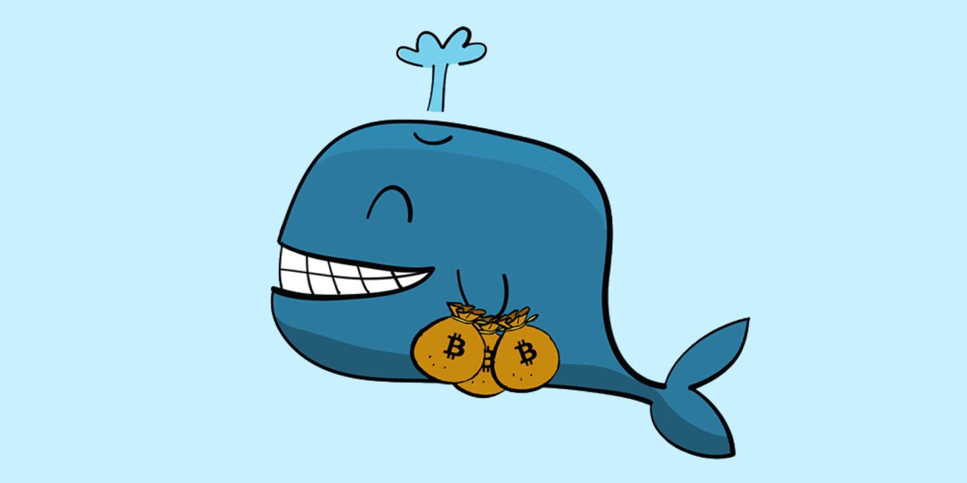 谁在为无清算 DeFi 协议的风险买单？