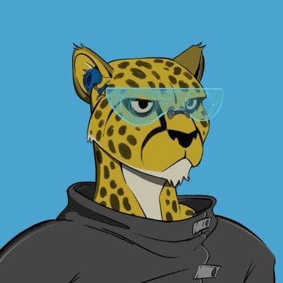 DeFi Cheetah