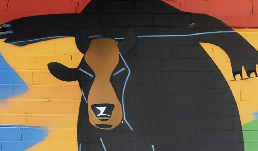 洞察币圈牛市四阶段，不同周期下如何进行加密投资？