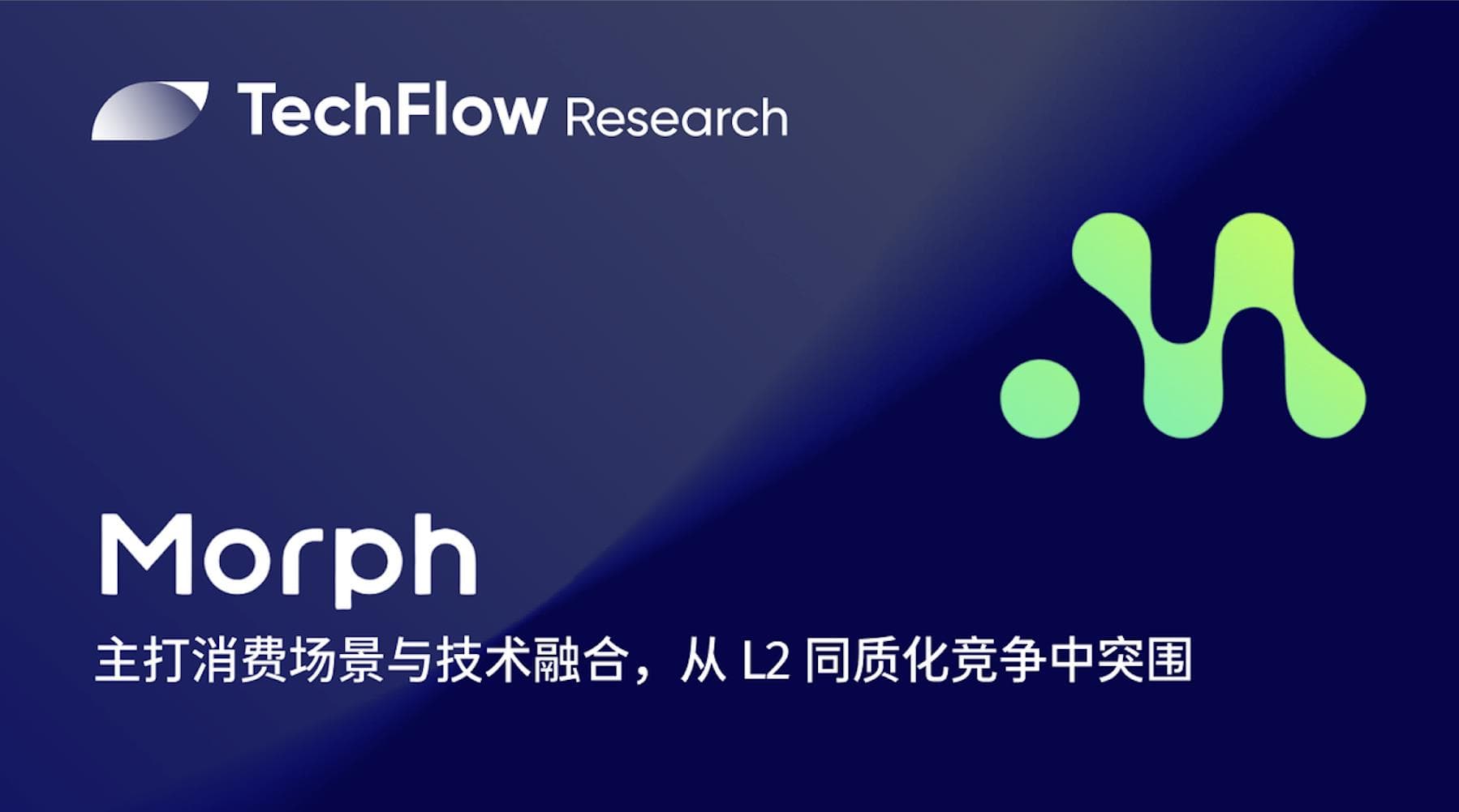解读 Morph：主打消费场景与技术融合，能否从 L2 同质化竞争中突围？