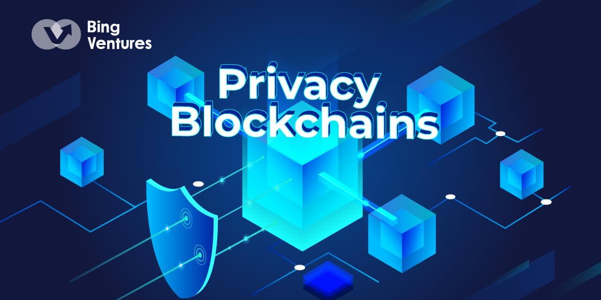Bing Ventures：ZKP 时代的隐私公链