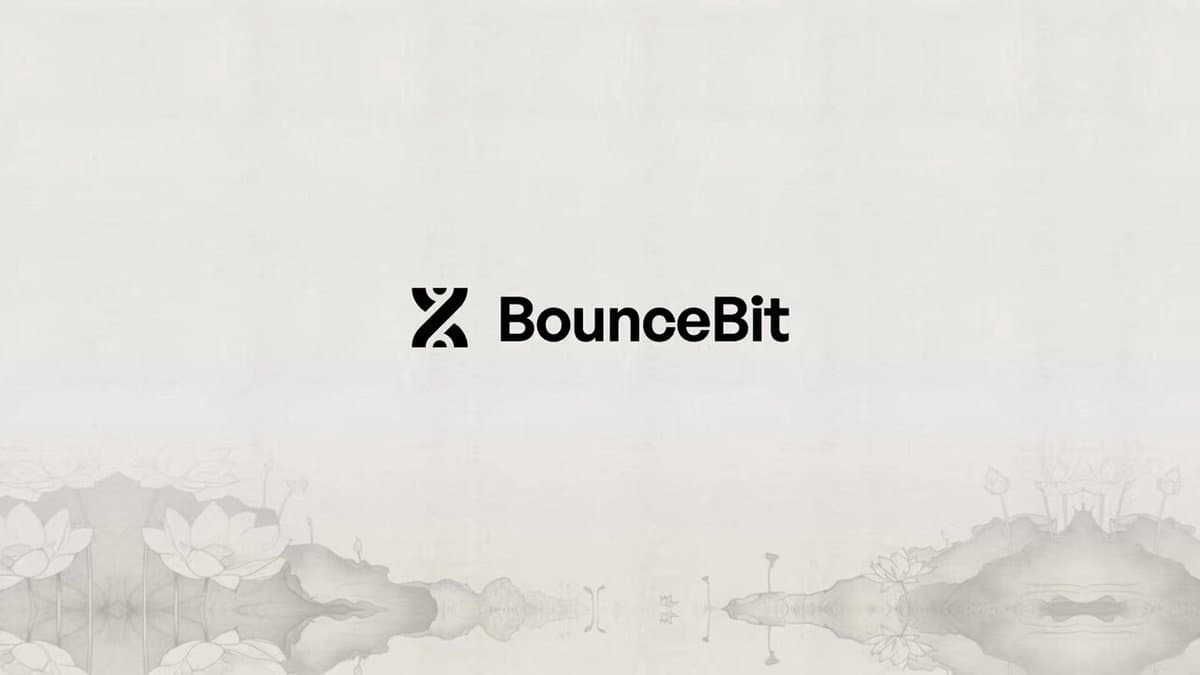 确认空投，首个比特币再质押链 BounceBit 为何如此吸金？