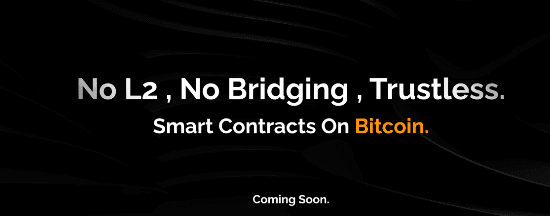 Multicoin Capital：我们为什么投资比特币原生应用平台 Arch？