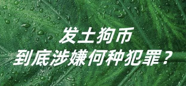 发土狗币，到底涉嫌何种犯罪？