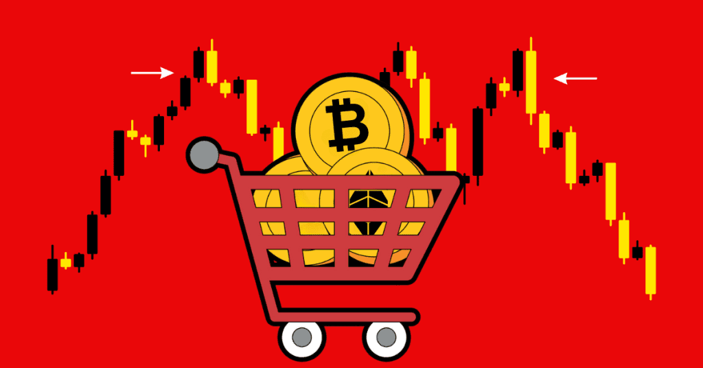 未来 3 个月山寨币表现如何?Bankless 预测了 10 个代币走势