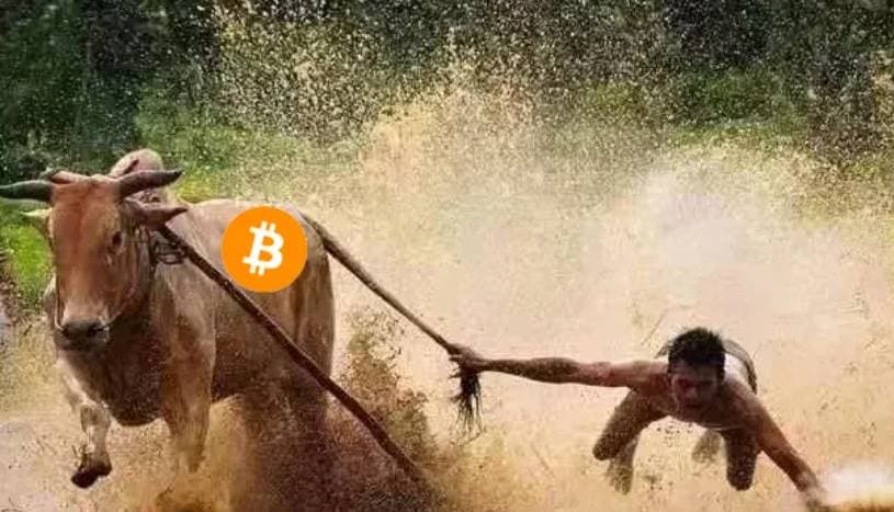 A 股牛回，加密牛市何时启动？