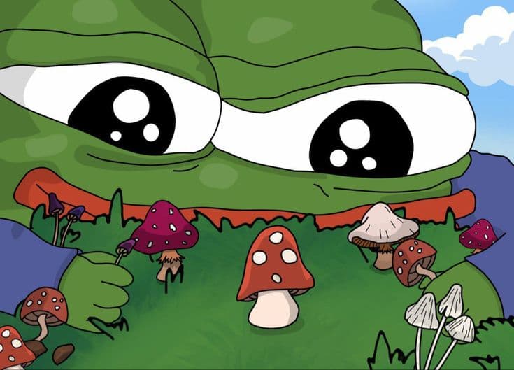 本周 Alpha：9 大市场催化剂 + 稳定币空投攻略