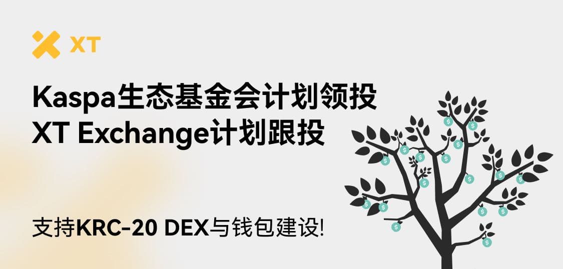 Kaspa 生态基金会计划领投，XT.COM 交易所计划跟投支持 KRC-20 DEX 与钱包建设