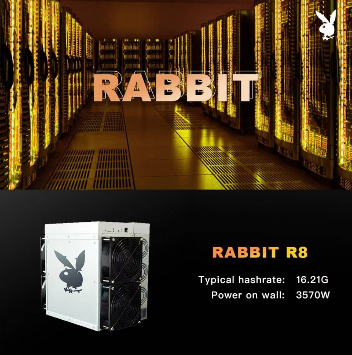 Rabbit 将于 2025 年发布 5nm Dogecoin 矿机 R8，R8 将实现 Doge 和 Rabbit 双挖