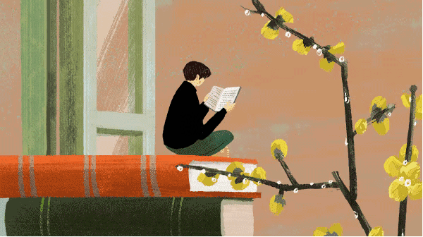 DWF Labs 11 月市场洞察:特朗普胜选推动加密市场全面上涨,BTC 逼近 10 万,DeFi 与稳定币市场稳步回暖