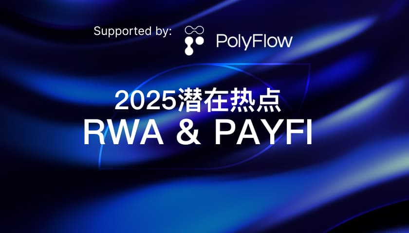 2025 潜在热点：RWA & PayFi