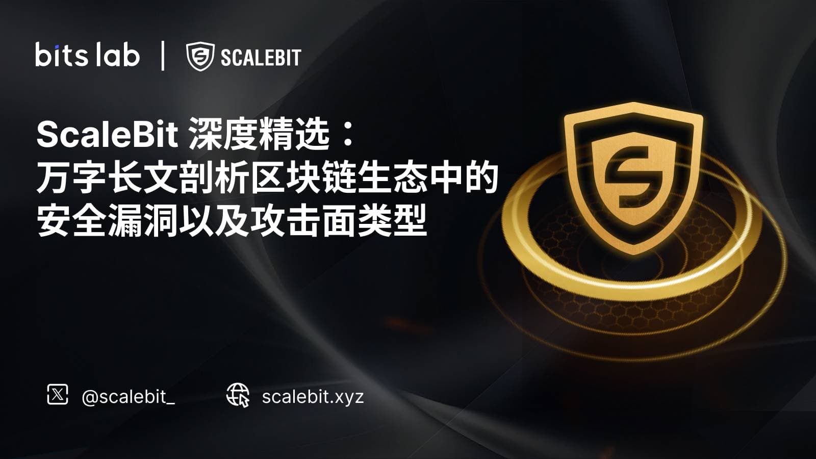 ScaleBit 深度精选:一文剖析区块链生态中的安全漏洞以及攻击面列表