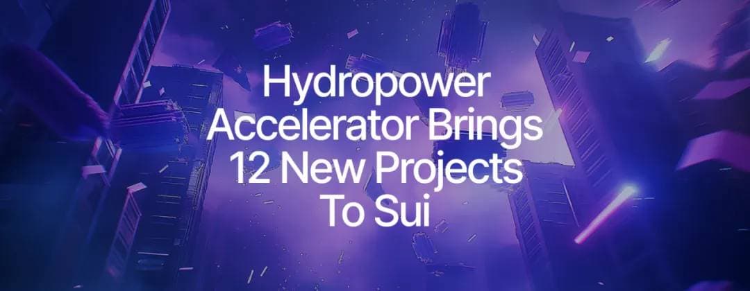 一文速览 12 个 Sui Hydropower 获奖项目