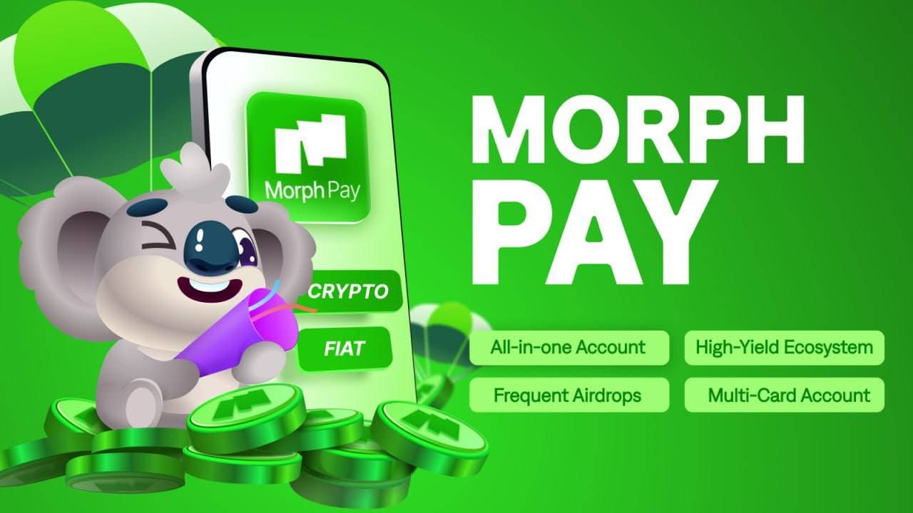 消费级公链Morph推出Morph Pay,打造高收益Defi生态系统