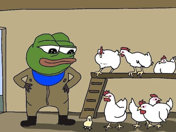 告别韭菜宿命：普通人的加密市场生存指南