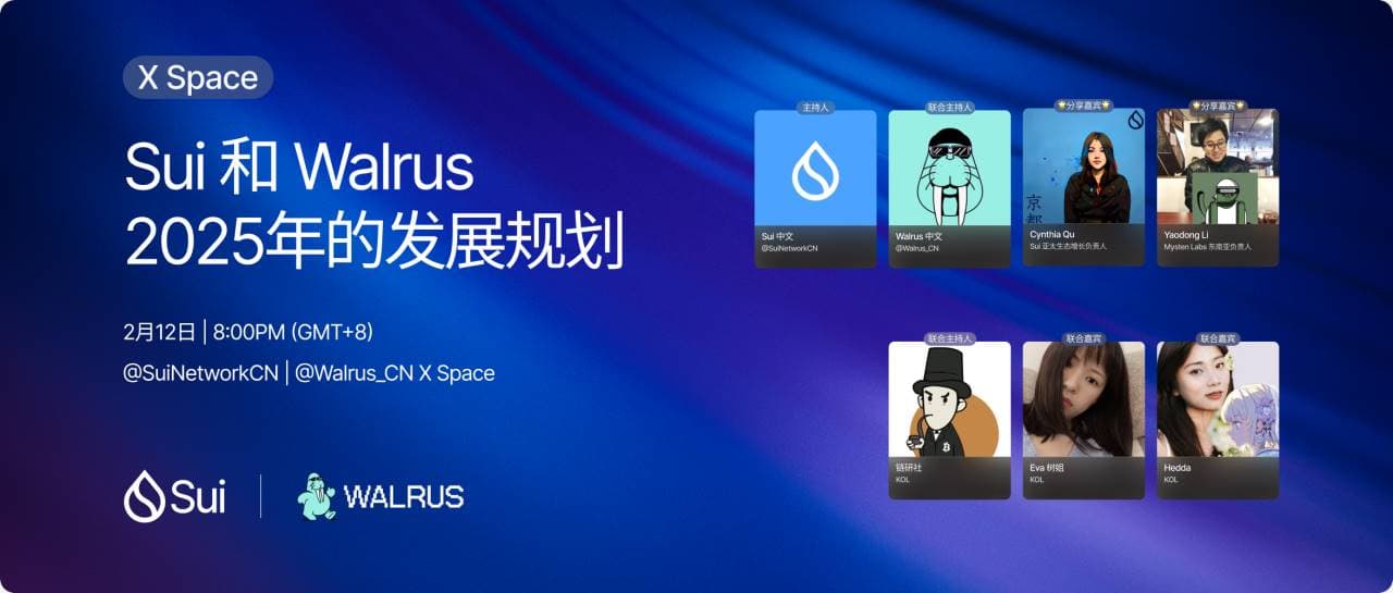 Space 回顾:Sui 和 Walrus 2025 年的发展规划