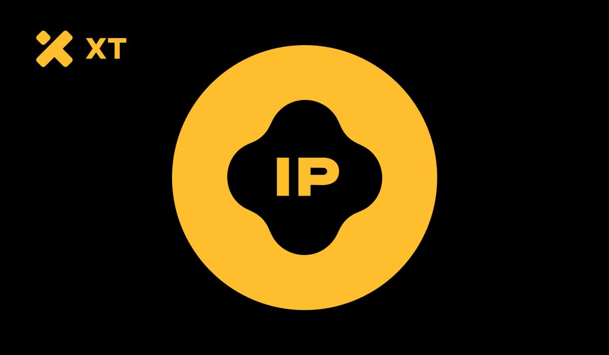 Story 如何重塑创作者经济的新标准？