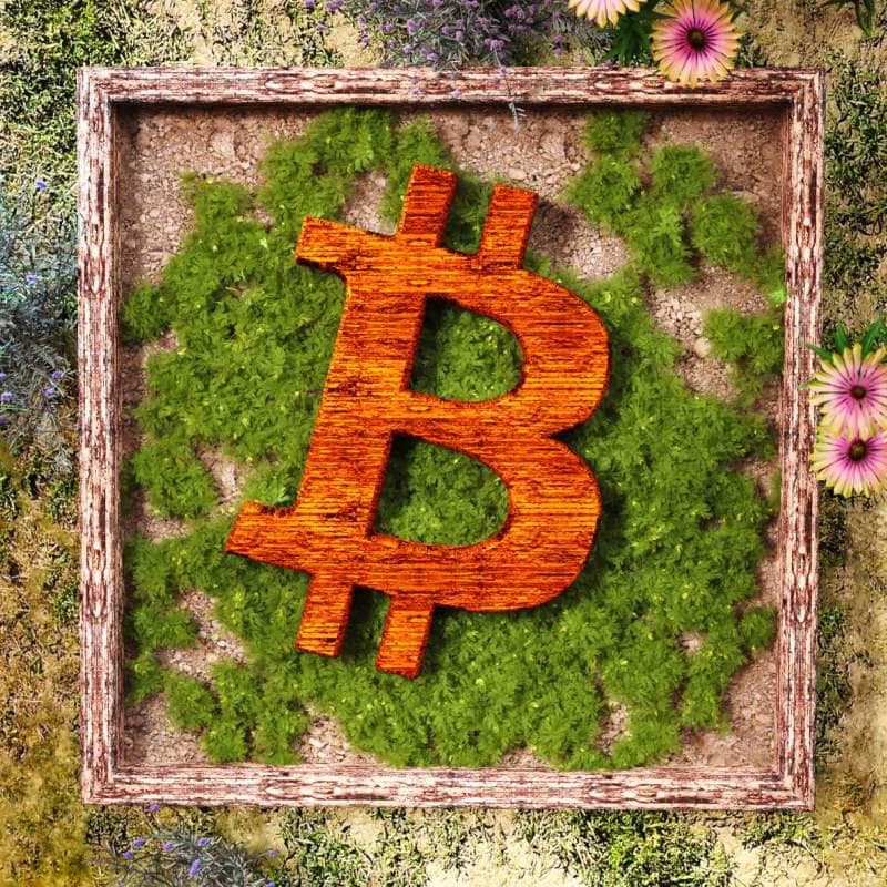 “AI+闪电网络+稳定币”三重奏： 开启 BTC 生态支付全面落地的新纪元