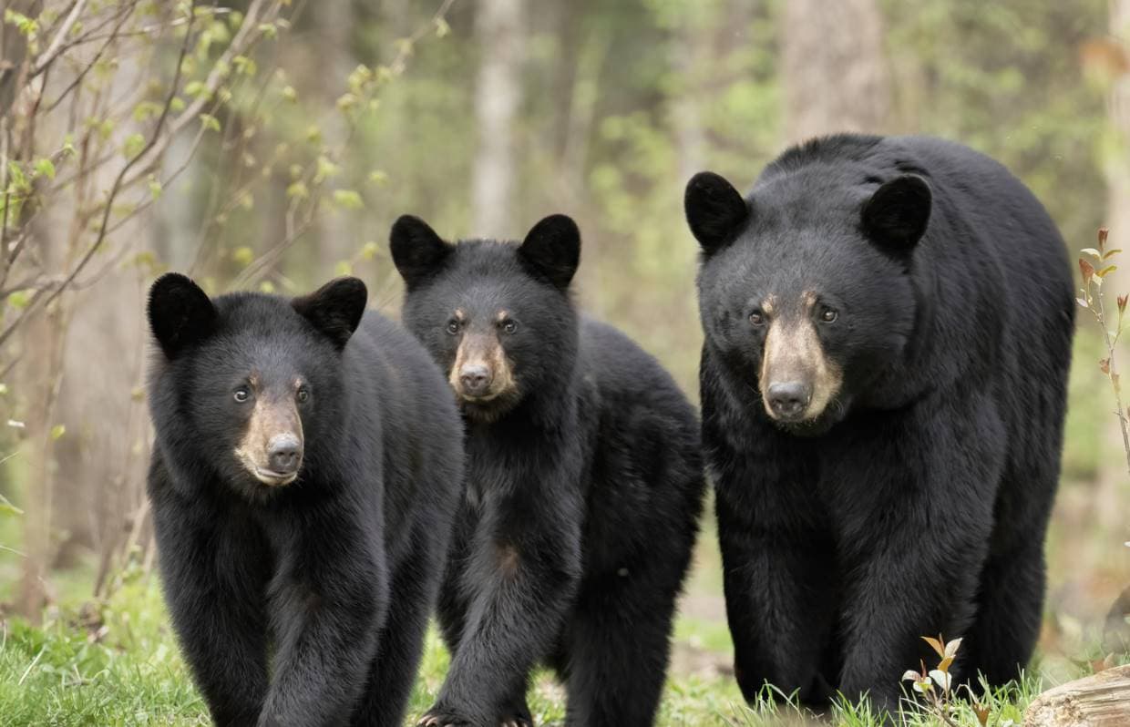 Coinbase 月度展望：比特币与 COIN50 双双失守关键支撑，市场距离反弹还有多远？