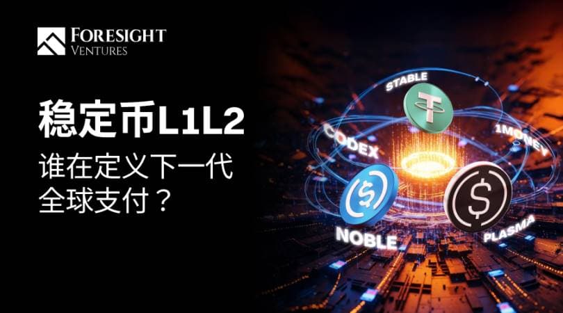 稳定币 L1 L2：谁在定义下一代全球支付？