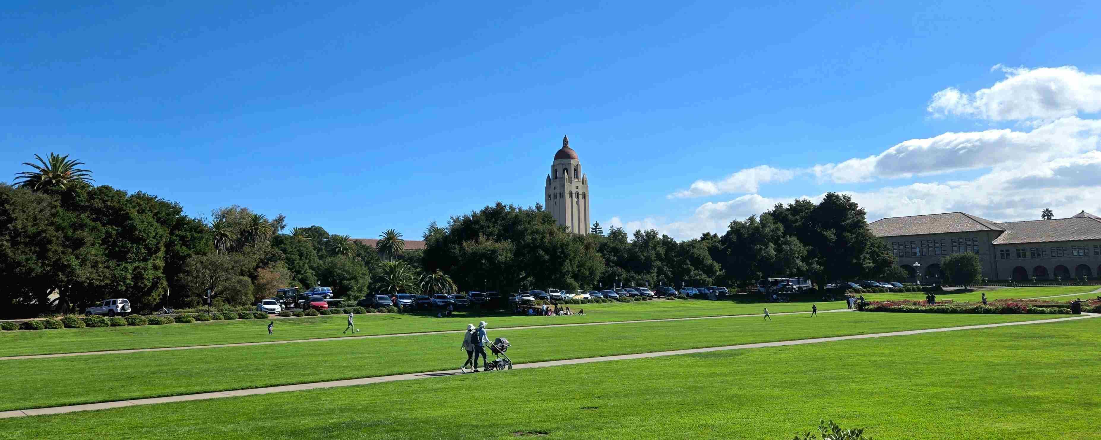 KOL 们都在晒收入，而我要晒做 VC 3 年投资的血泪教训