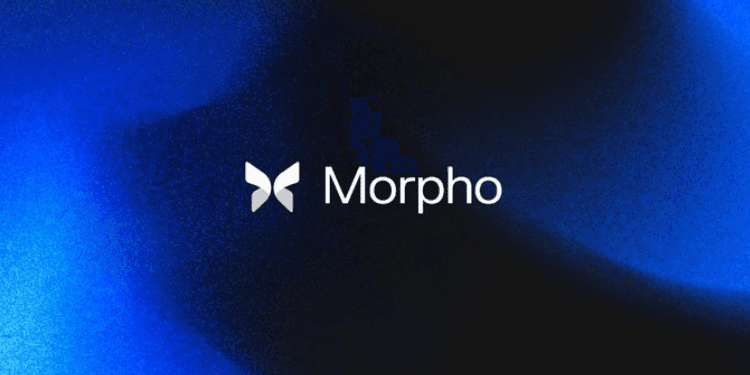 Morpho 吸金 120 亿之谜：这些大户到底在玩什么？