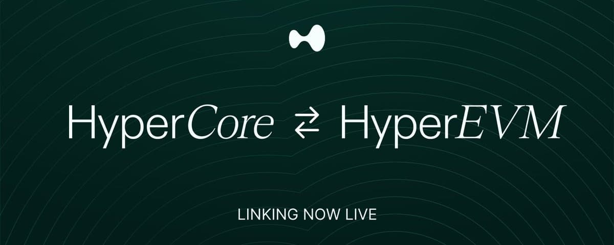 8 个月，500万：HyperEVM 头号套利机器人获利解析