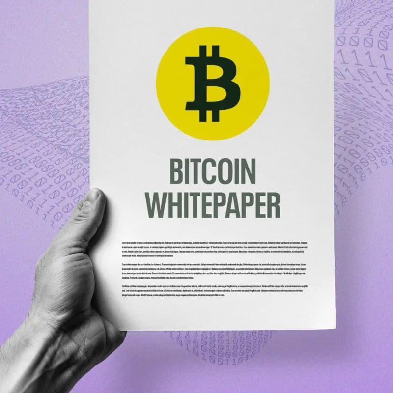 比特币白皮书 17 周年：一半海水，一半火焰