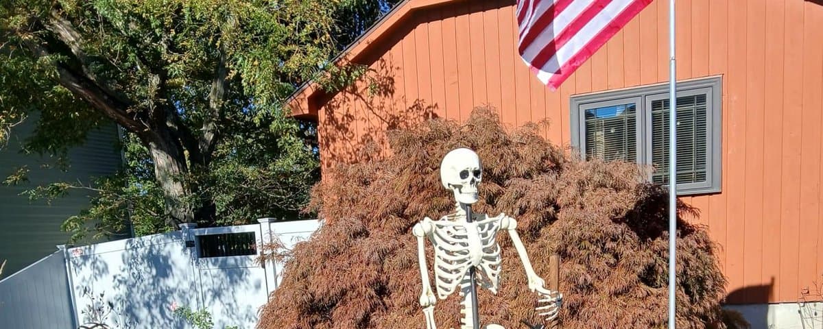 真正的加密货币早就死了