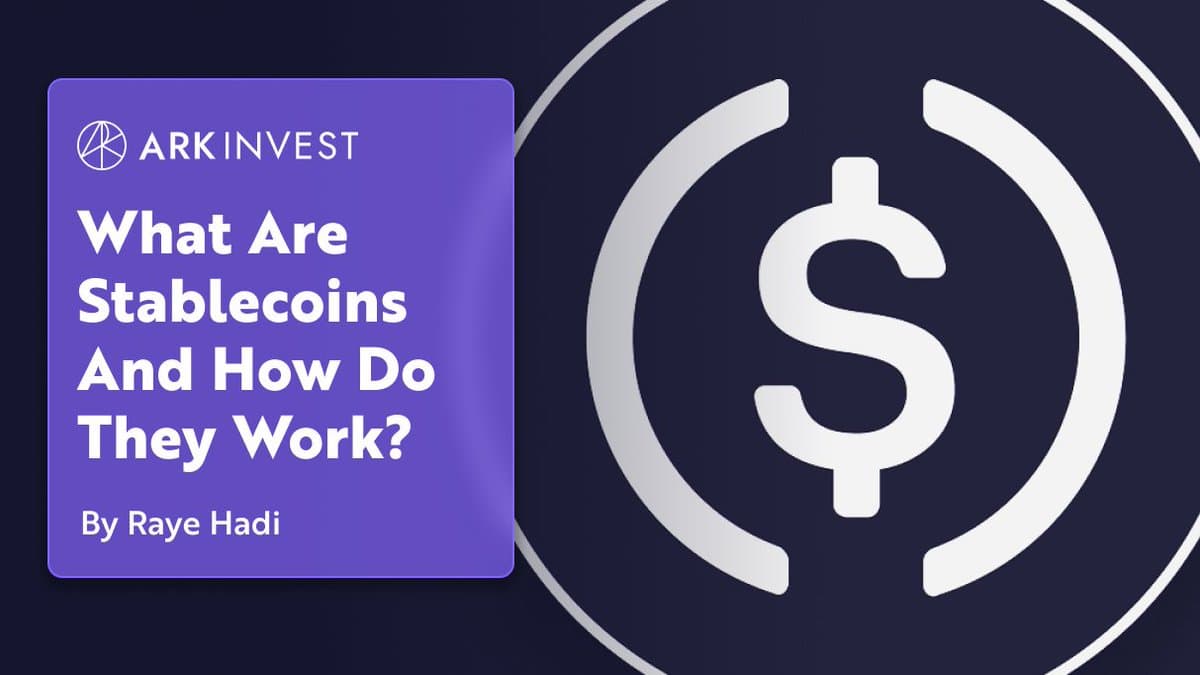 稳定币指南：什么是稳定币以及它们如何运作？