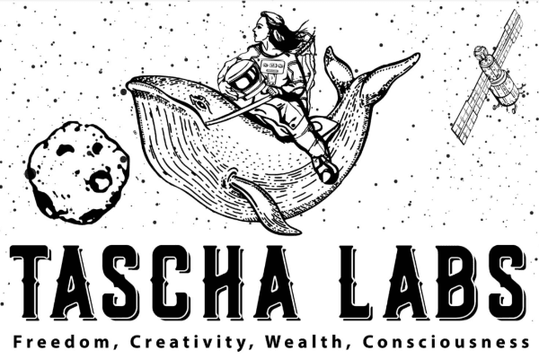 经济学女博士:展望未来6个月加密行情,高波动性,比特币主导地位继续降低