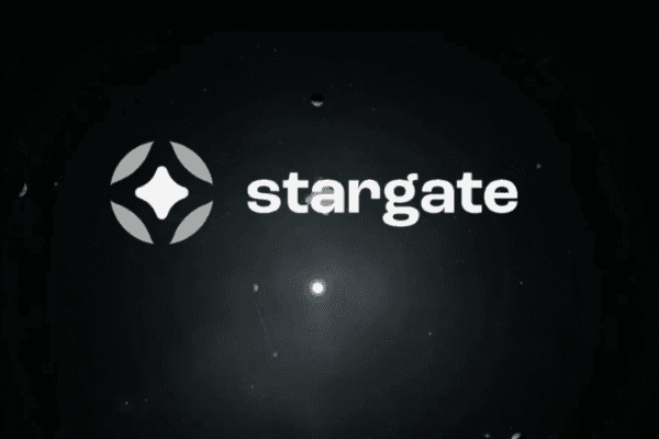 机构为什么看好Stargate？