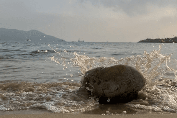 Spartan合伙人：对加密熊市的思考，哪些叙事会被淘汰？