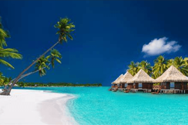 加密OG ：我在2018年学到的10条熊市生存法则