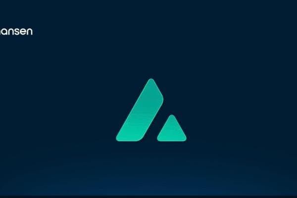 Nansen 研究：冲刺中的雪崩链