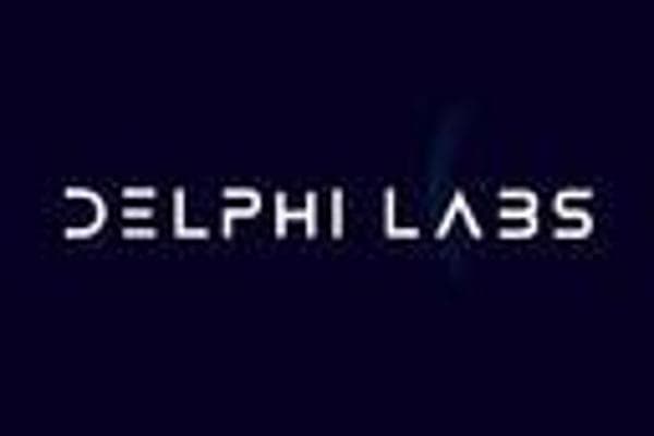 Delphi Labs：新的代币发行机制，锁定+流动性引导拍卖