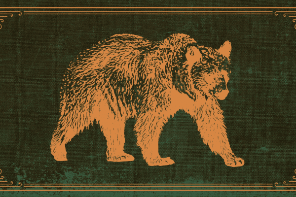 熊市生存指南：面对未知，保持谦卑