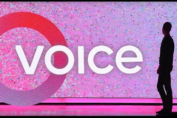 聊聊Voice现状以及3000万美元域名背后隐秘的八卦