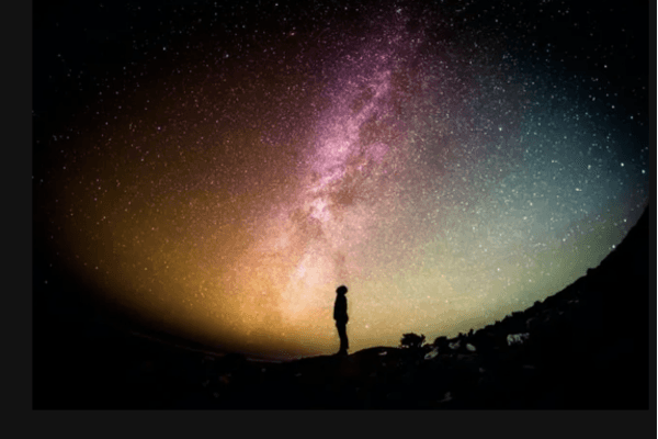 庞氏经济学：用第一原理揭示加密货币背后的游戏