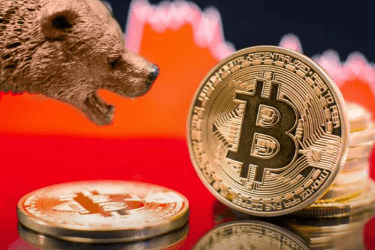 探寻头部基金和Alpha：哪些赛道值得布局？