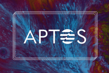 Bixin Ventures：为什么我们投资下一代新公链Aptos？