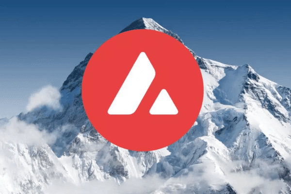 如今Avalanche生态中有哪些项目值得我们关注和参与？