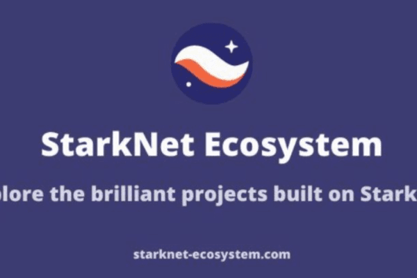 一文速览Starknet生态17个潜在空投机会
