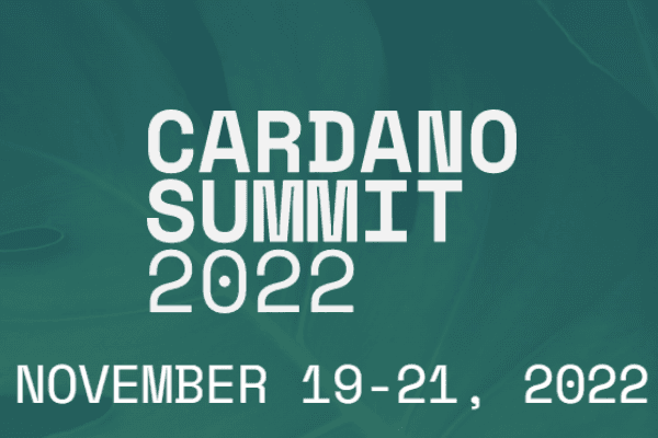 Cardano 开启下半场征途，「房间里的大象」如何打造自己的智能合约时代？